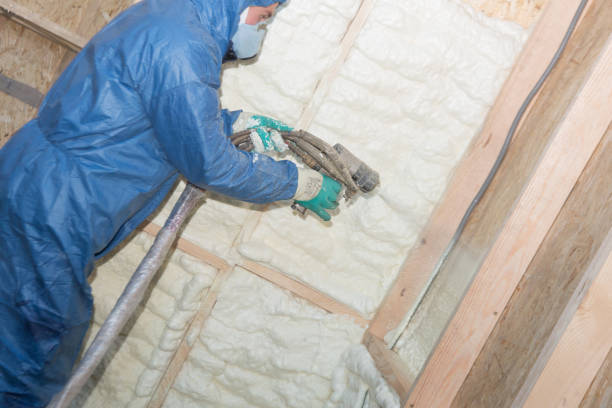 New Lenox, IL Insulation Installation & Removal Company